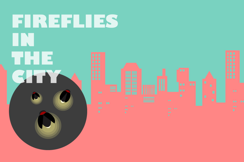 城市裡的火金姑(下)