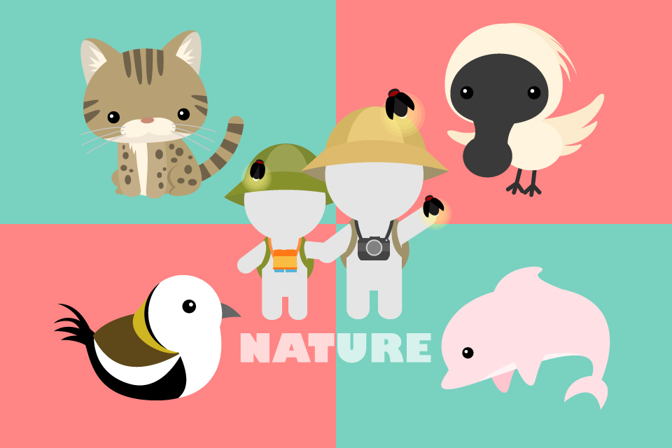 城市「螢」回來  系列報導(四)：螢火蟲之春　點亮生態旅遊之光