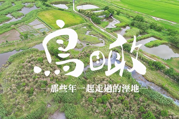 鳥瞰：那些年一起走過的濕地