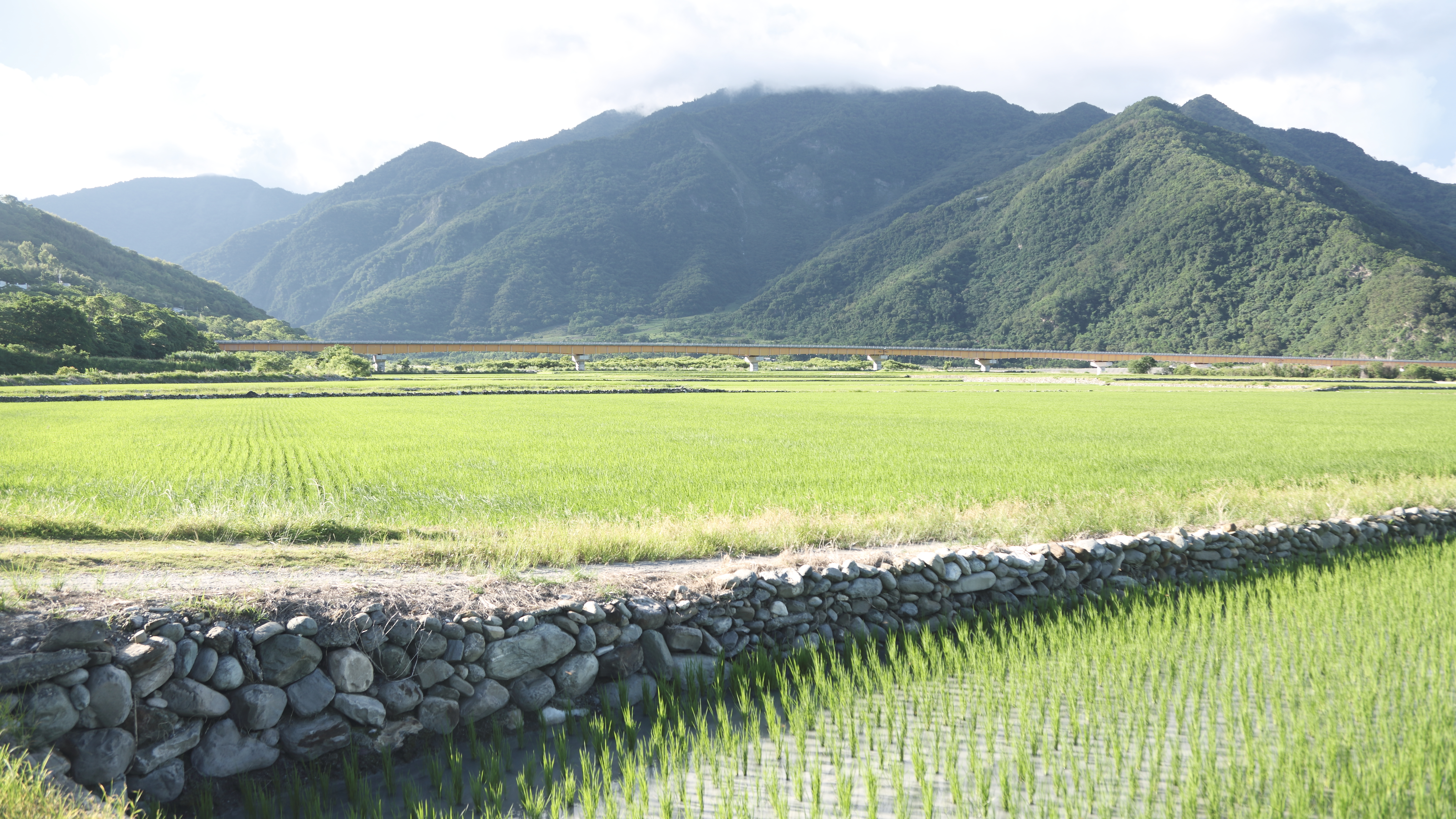永續農業，好未來：從餐桌開始
