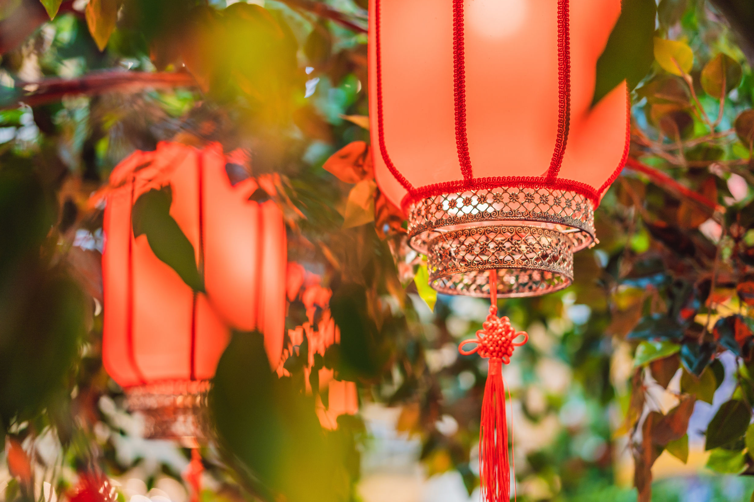 生趣个老古人言