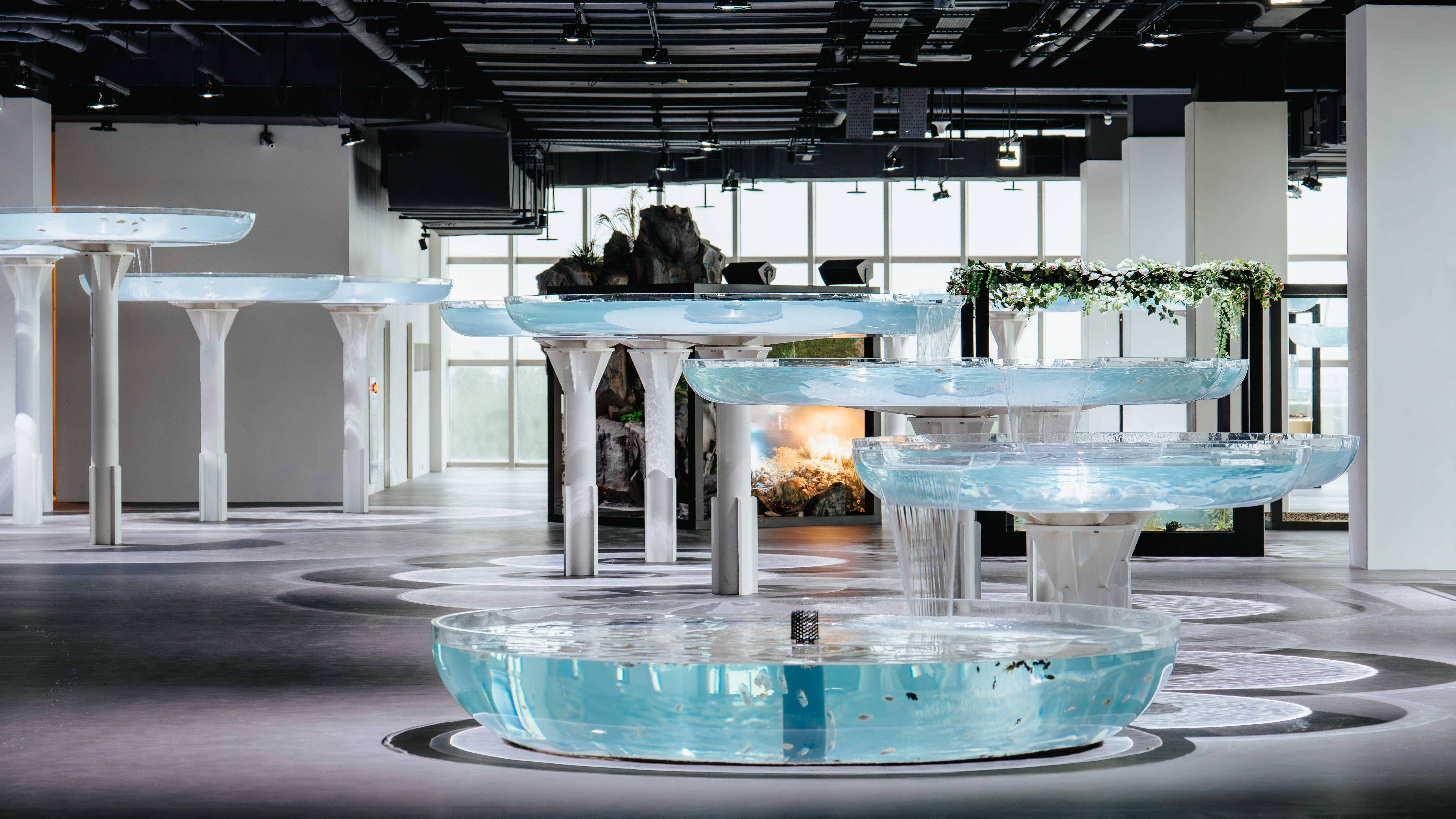 台中海洋館呈現台中河川到海洋的樣貌(圖片來源：台中海洋館提供)