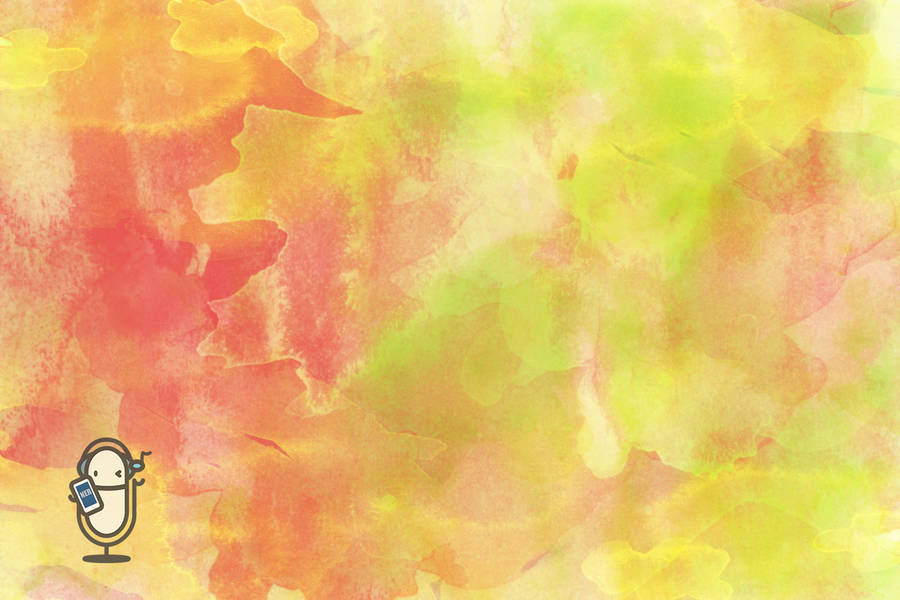 高美濕地需要木棧道嗎