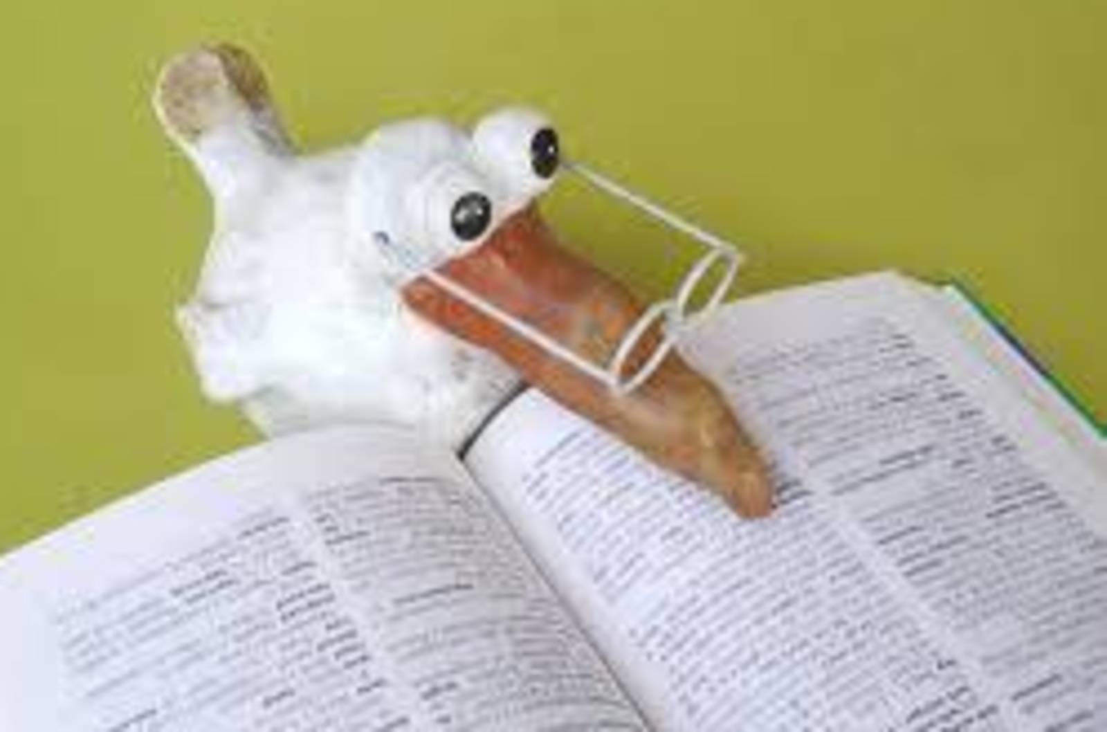 楓樹國小~跟著Ner有聲閱讀趣(下)