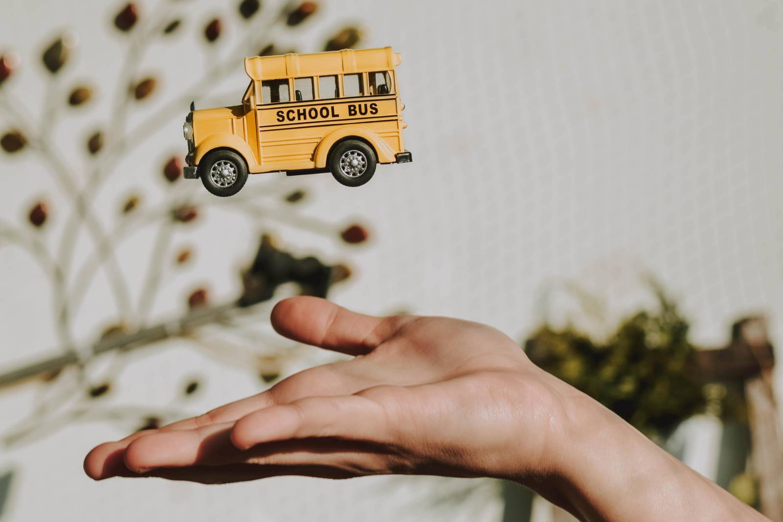 多明尼加陳舊校舍的翻修之路