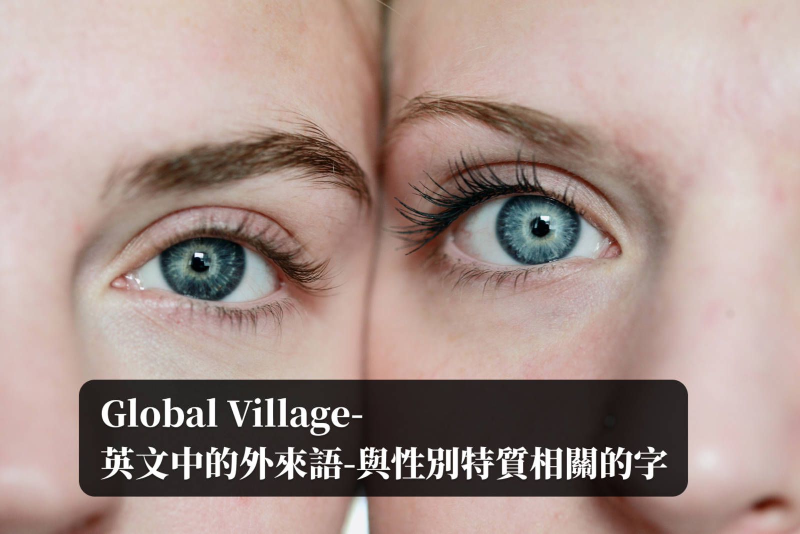 Zack-英文中的外來語：與性別特質相關的字