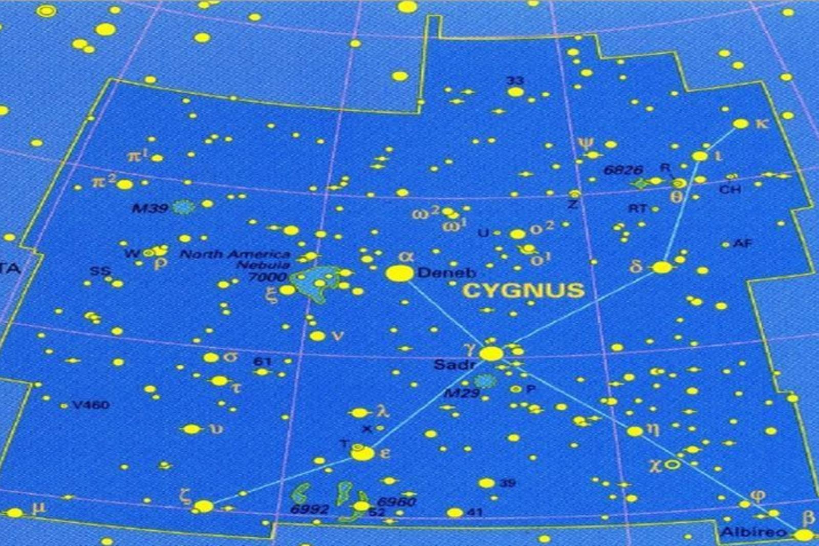 夏季星座-天津四