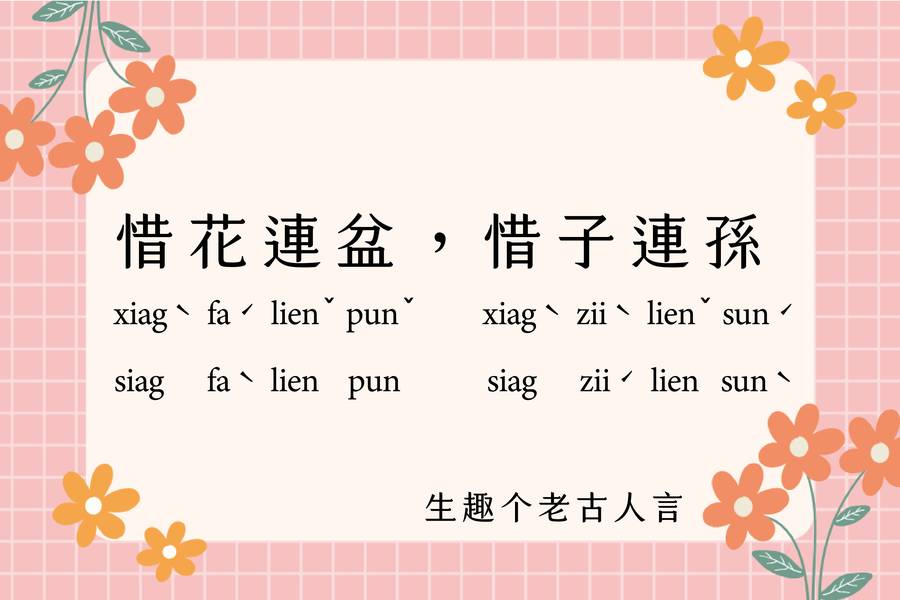 惜花連盆，惜子連孫