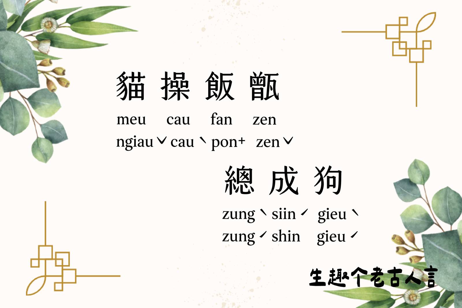 貓操飯甑總成狗