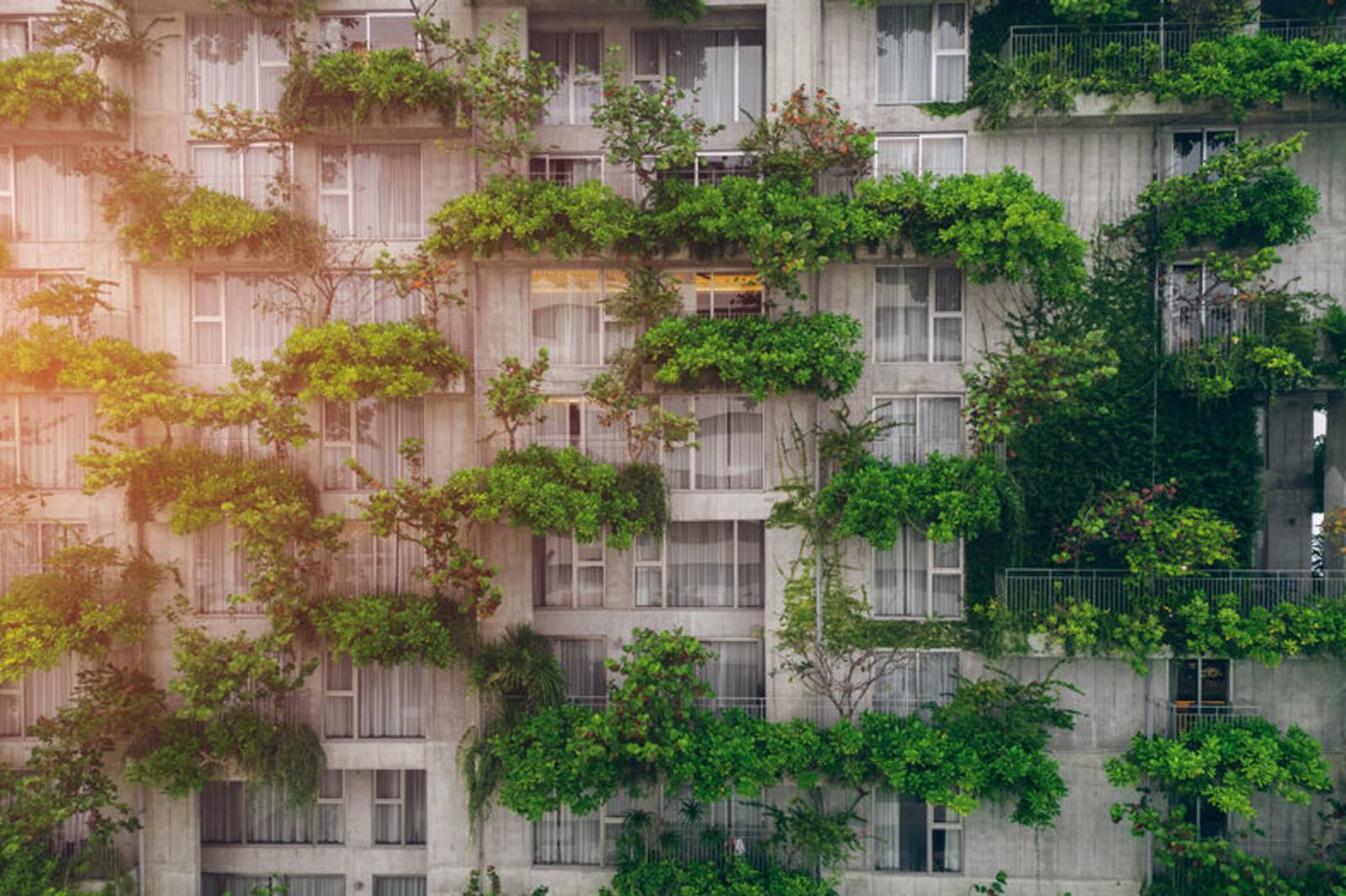 每個小選擇就是改變世界的開始