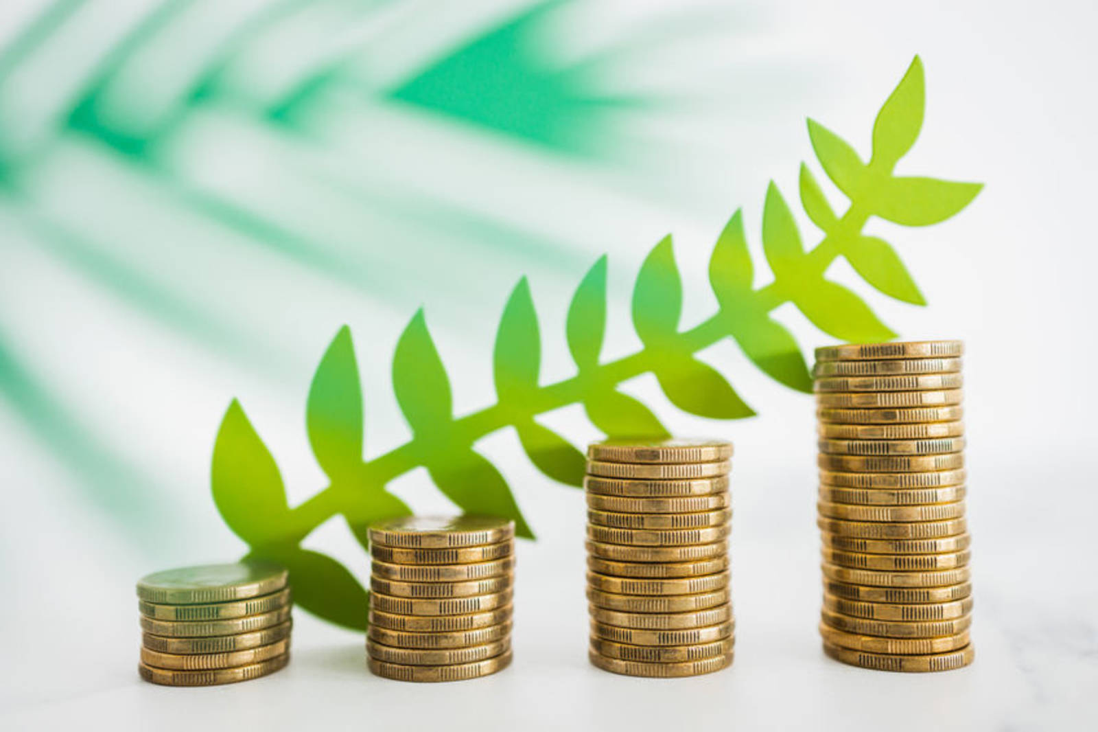 永續從你我的選擇開始