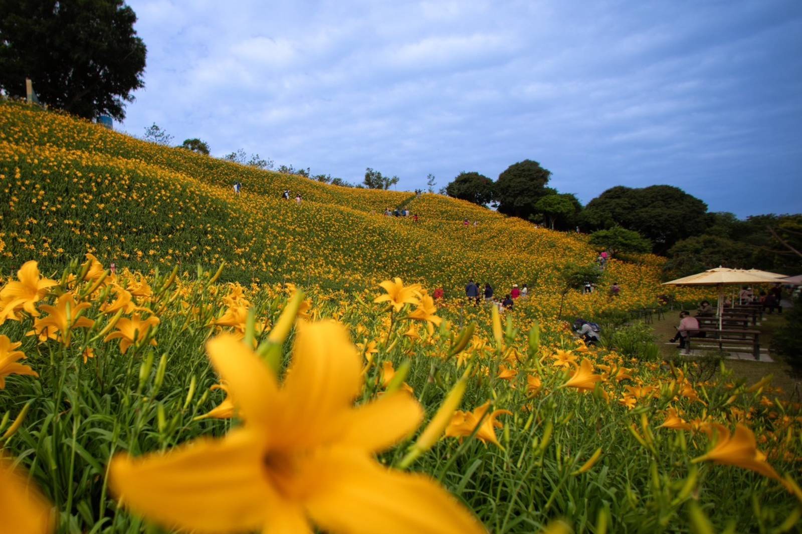 四季皆美的參山國家風景區