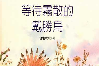 單集-封面
