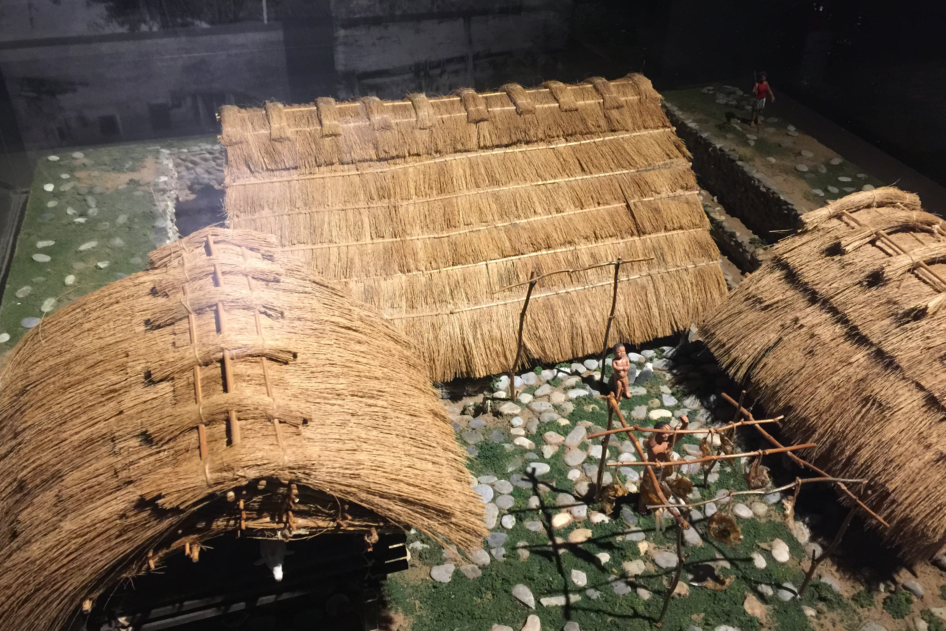單集-封面