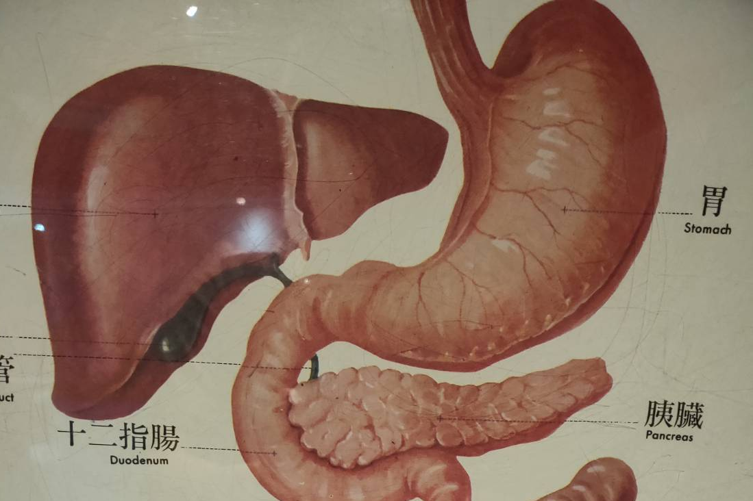 單集-封面