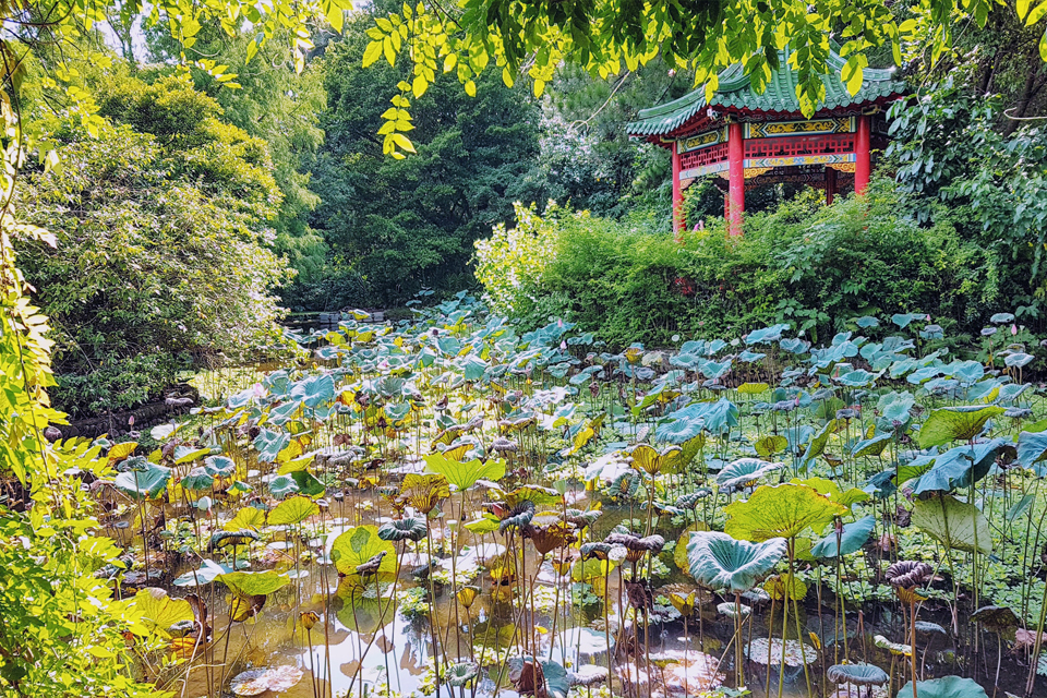 單集-封面