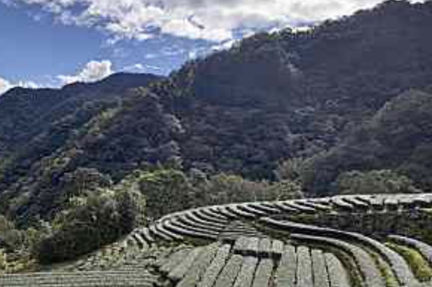 單集-封面