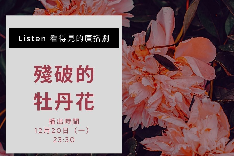 單集-封面