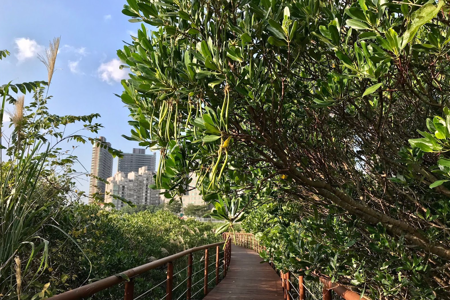 單集-封面