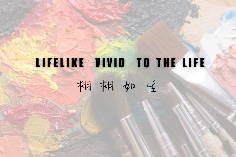 單集-封面