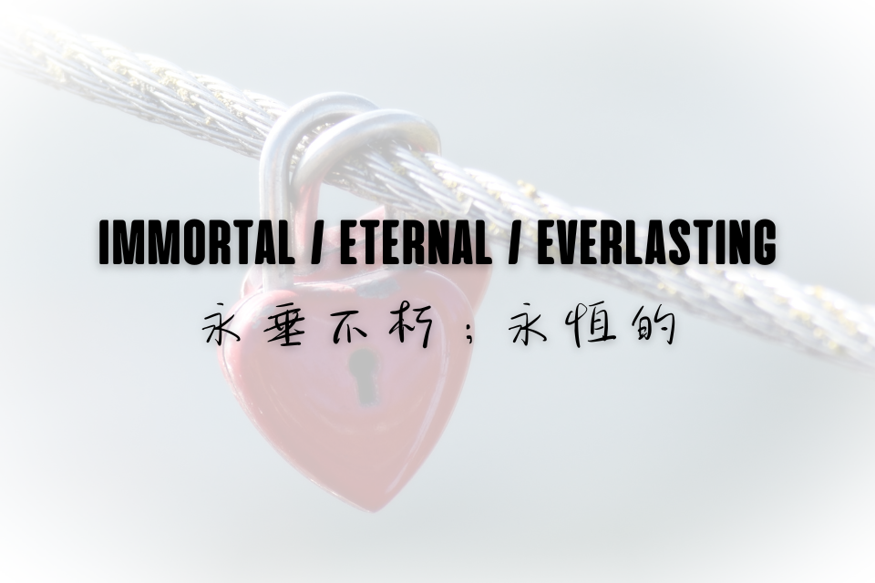 單集-封面
