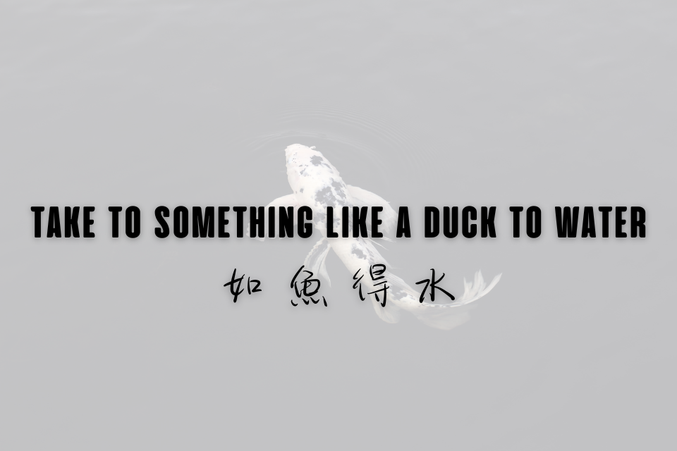 單集-封面