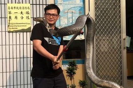 單集-封面