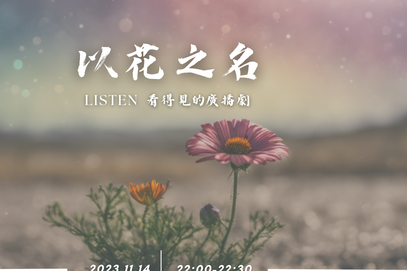 單集-封面