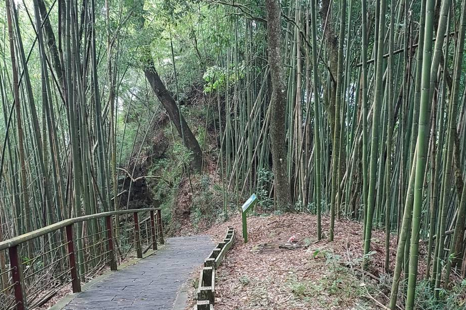 單集-封面