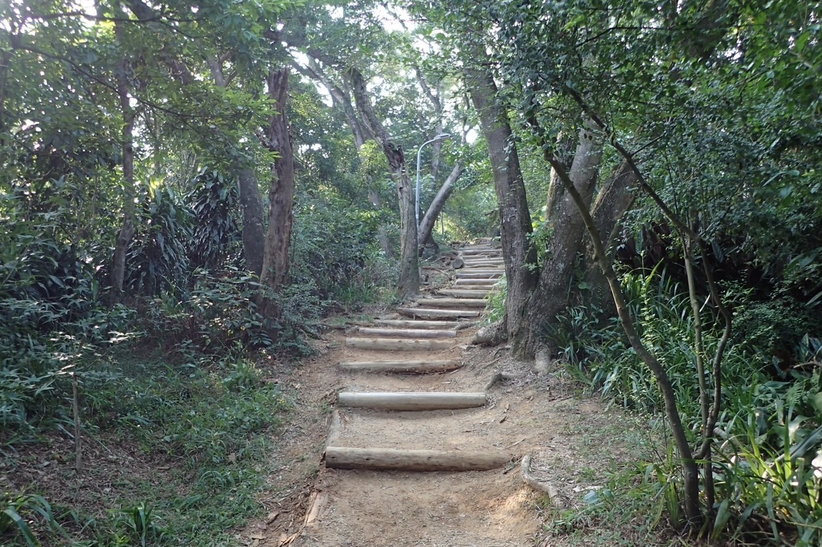 單集-封面