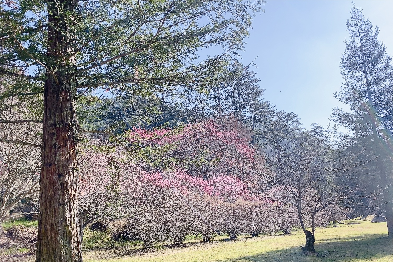 單集-封面