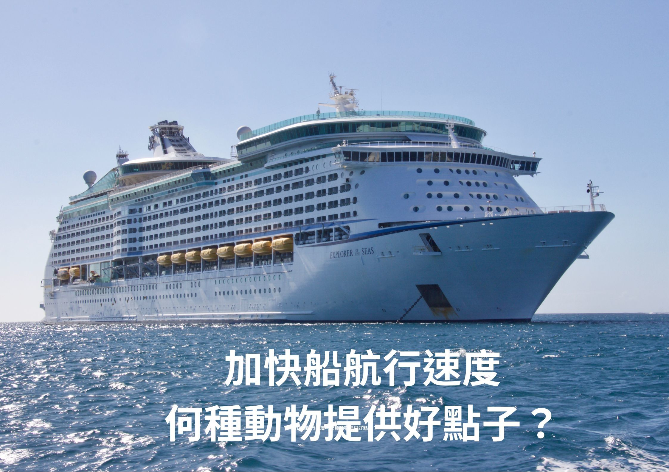 單集-封面