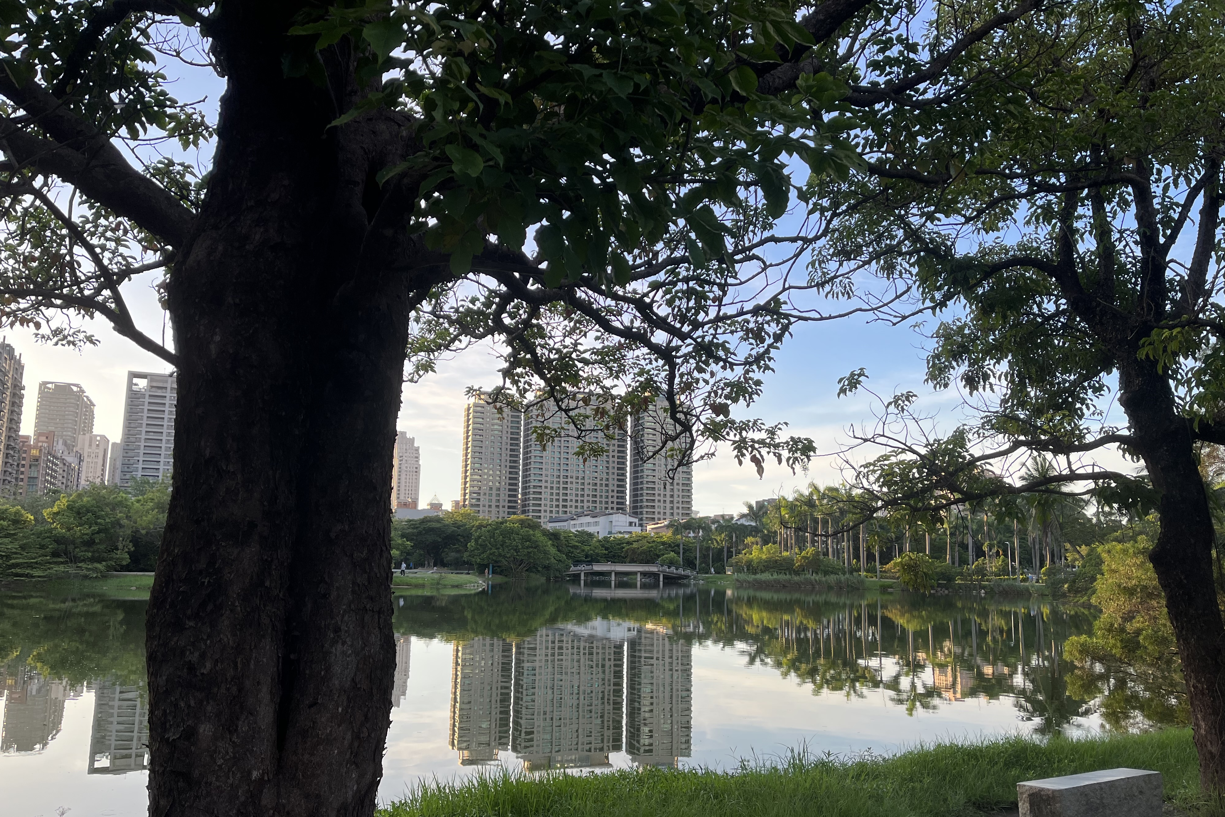 單集-封面