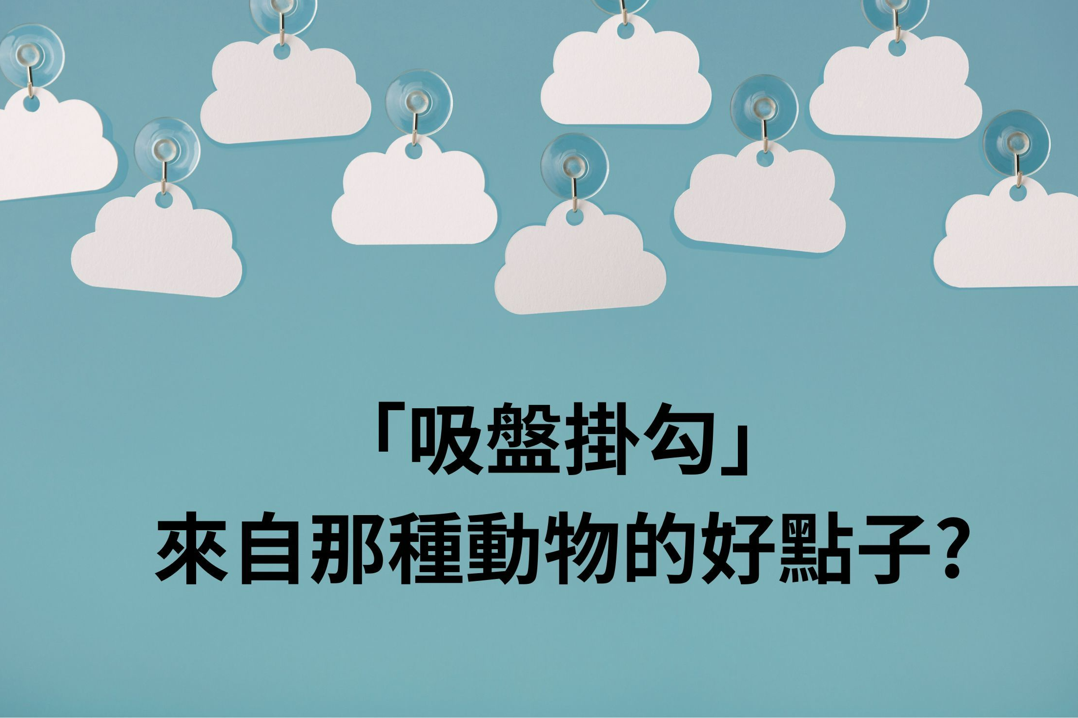 單集-封面