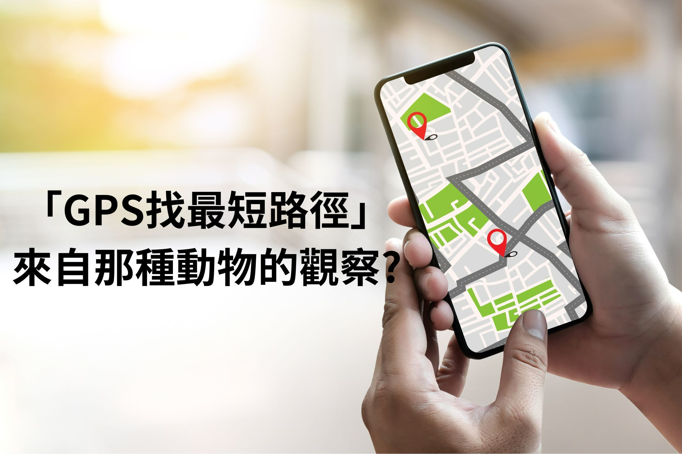單集-封面