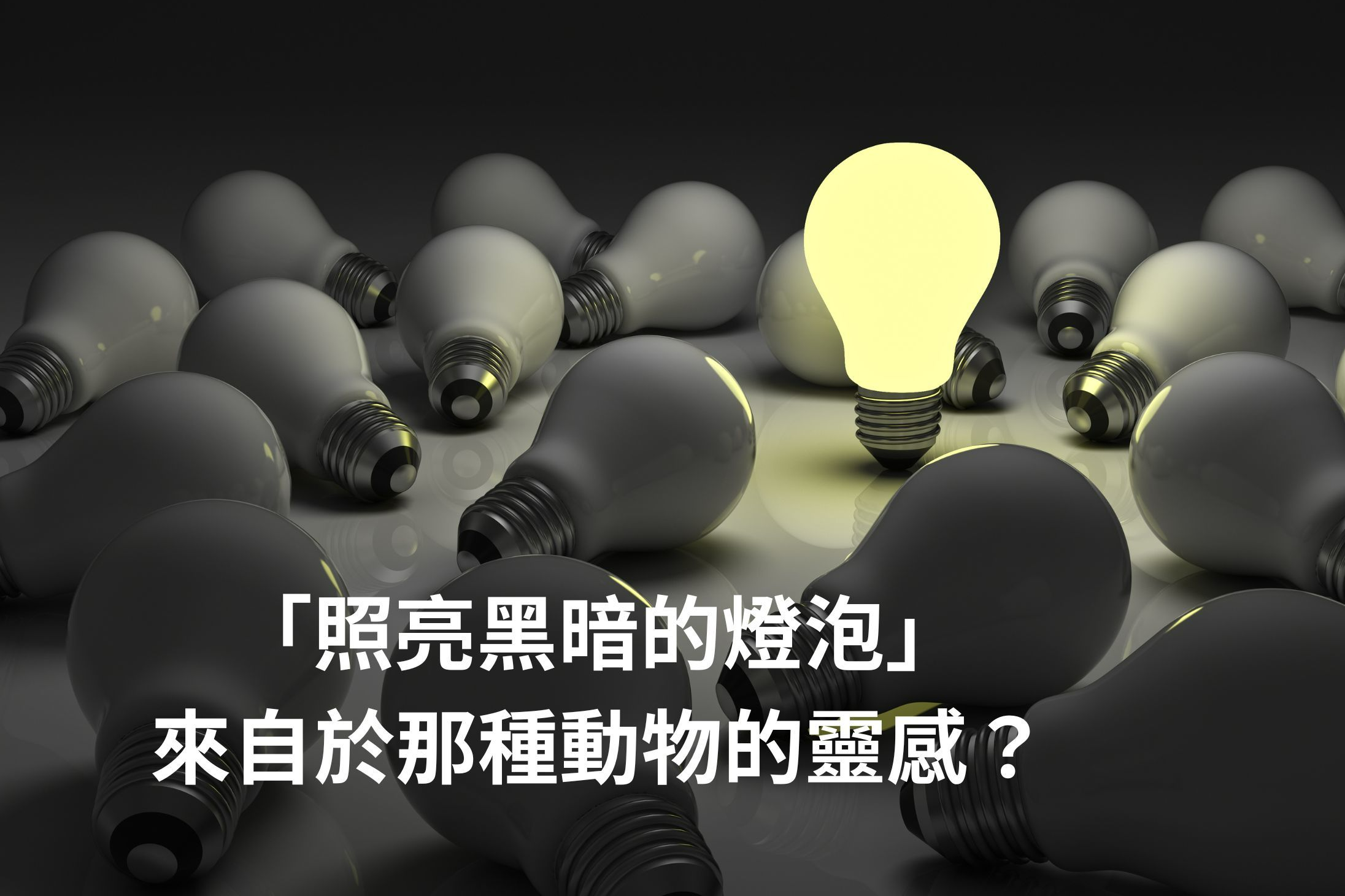 單集-封面