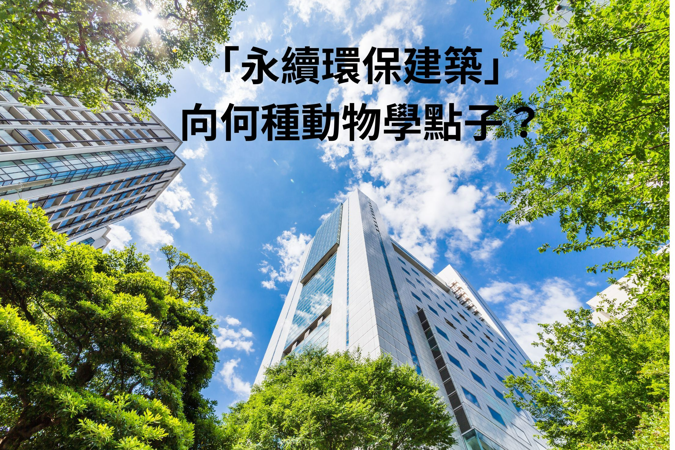 單集-封面
