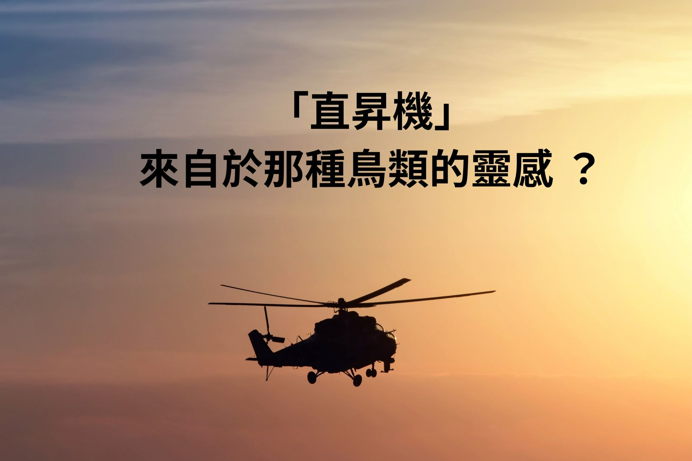 單集-封面