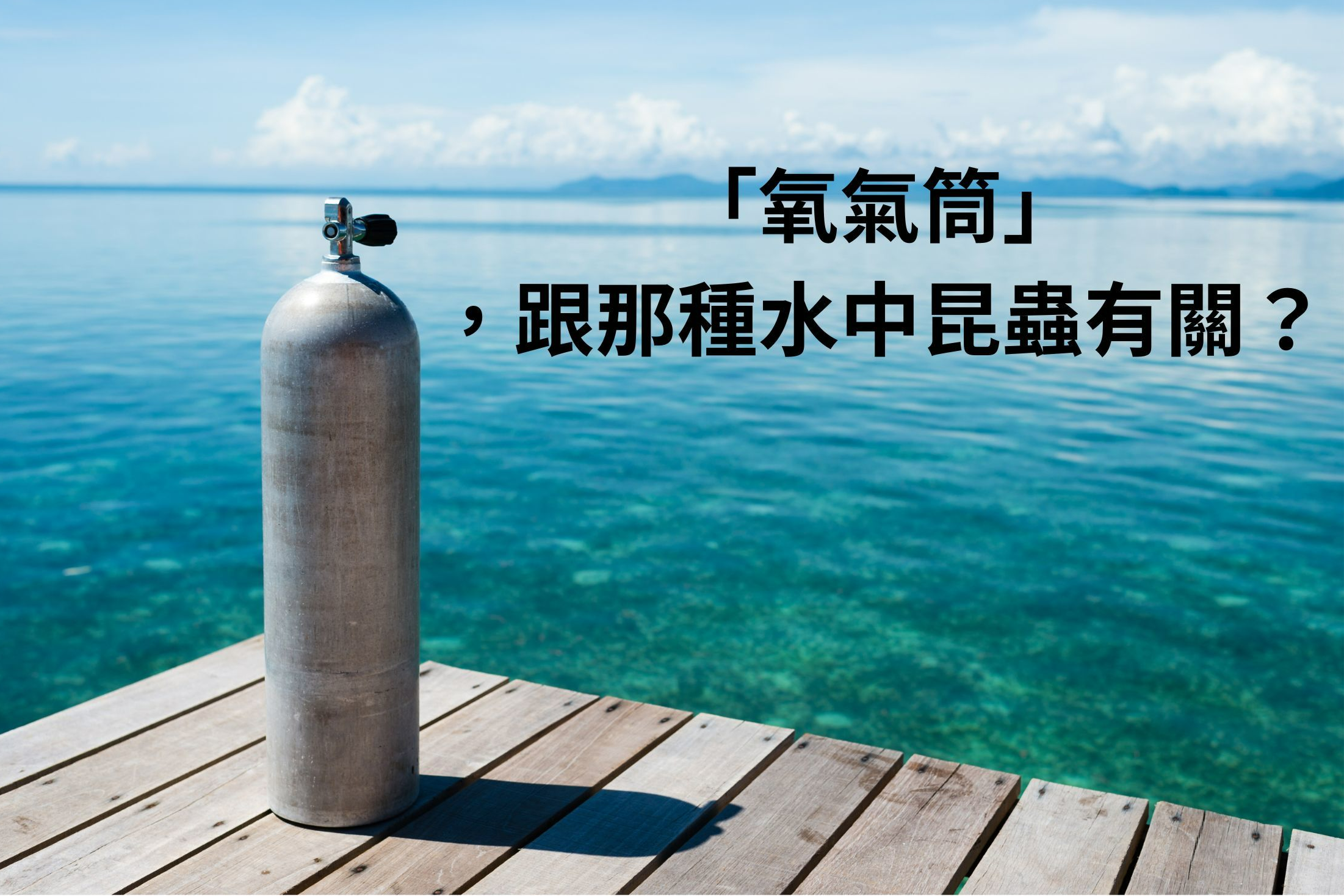 單集-封面