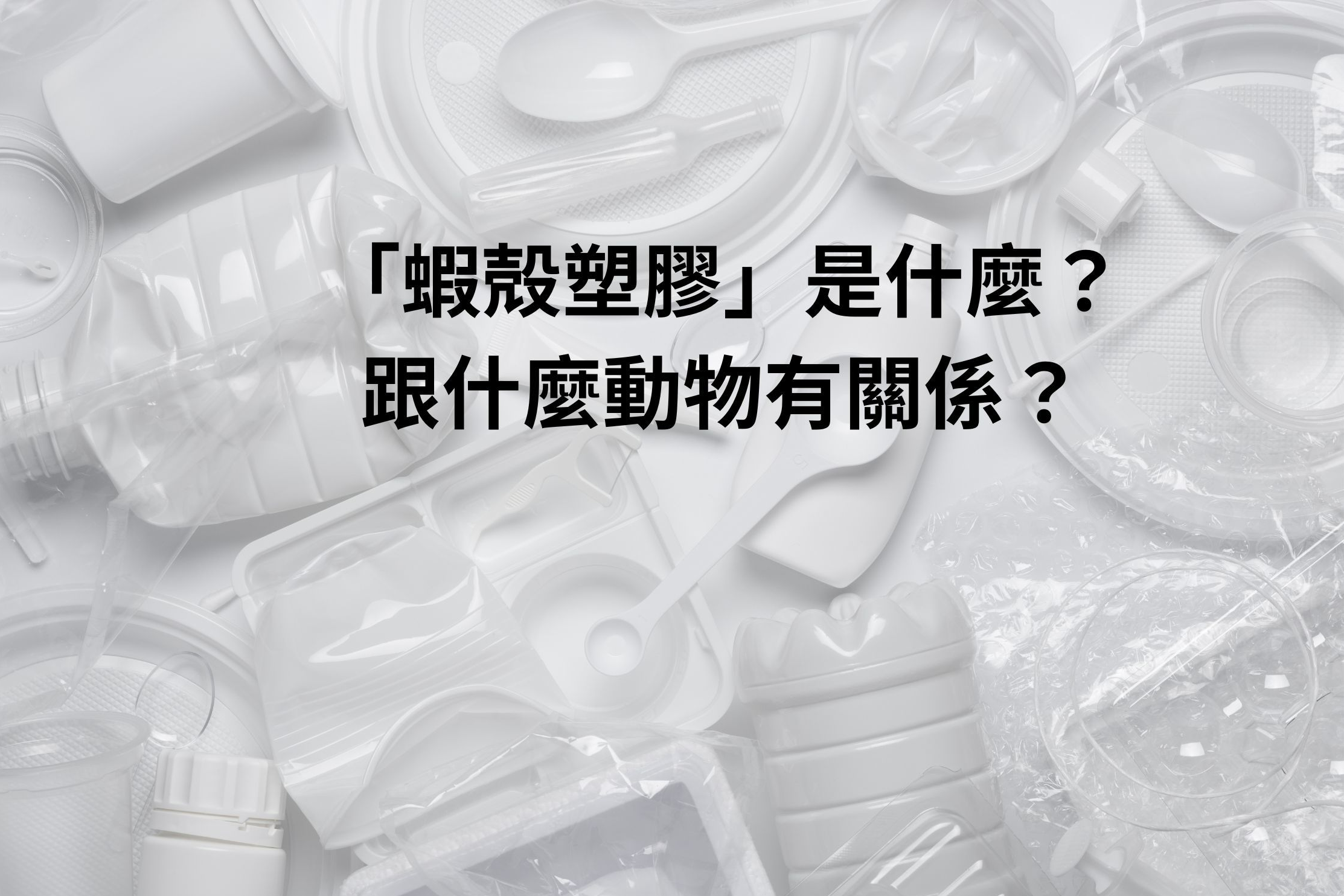 單集-封面
