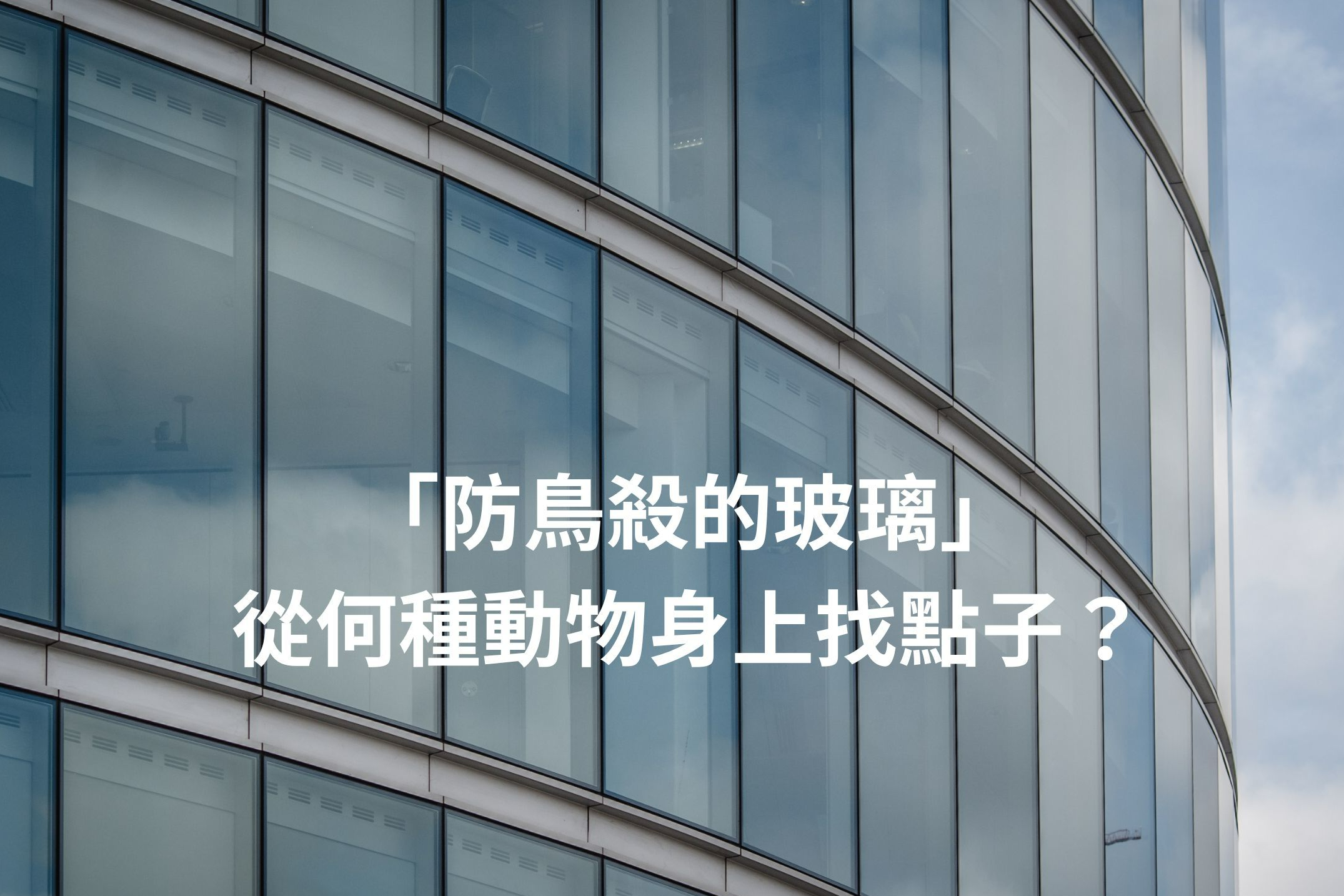單集-封面