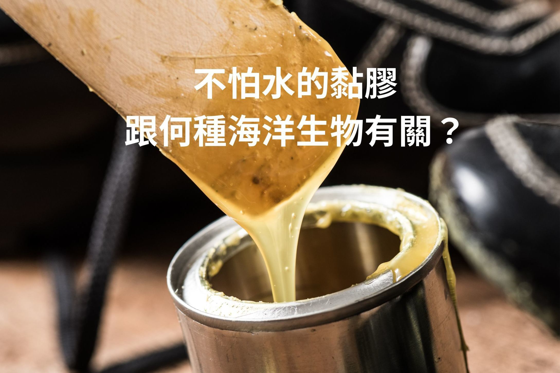 單集-封面