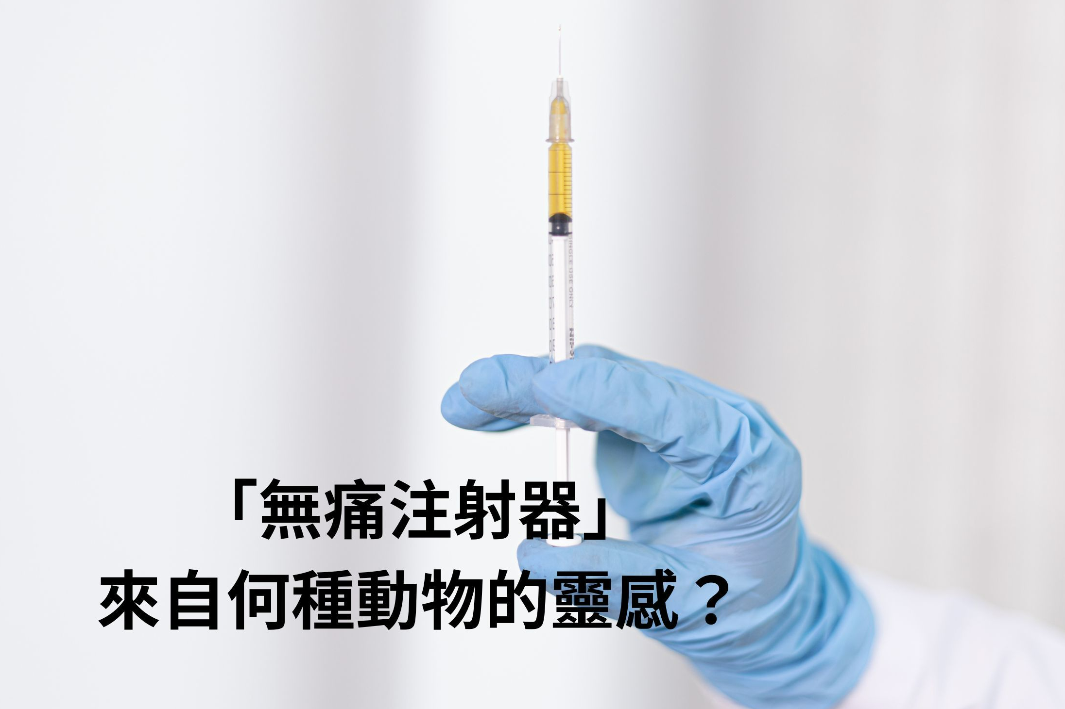 單集-封面