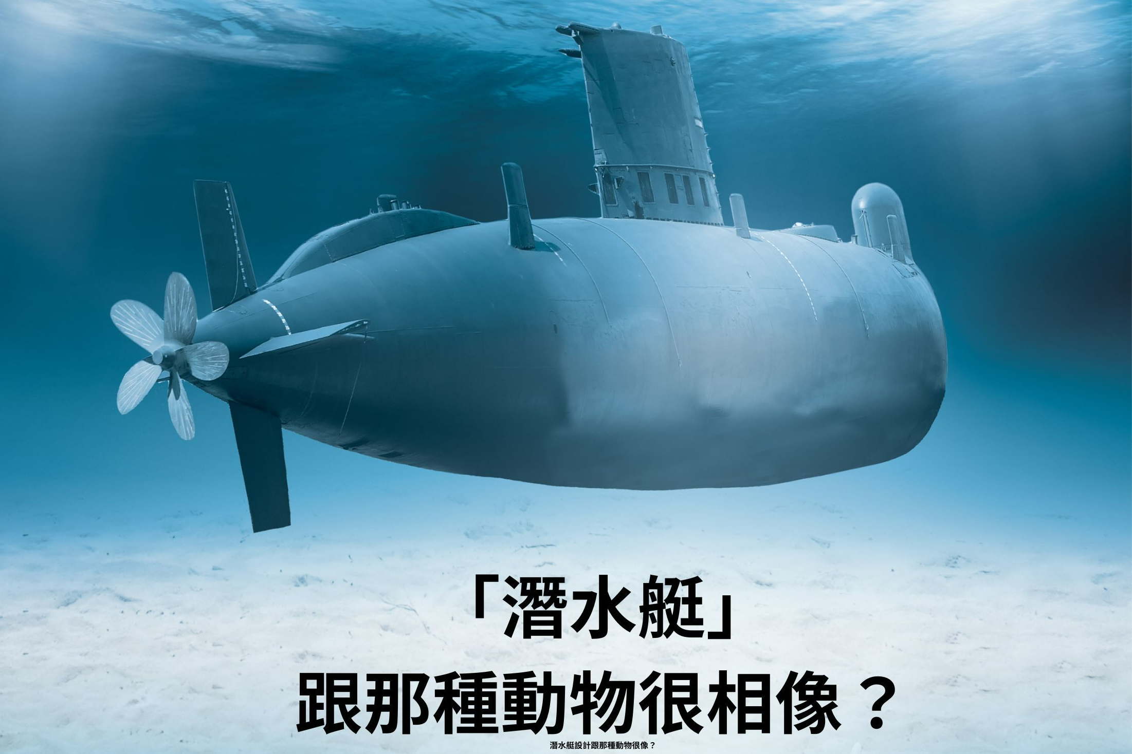 單集-封面