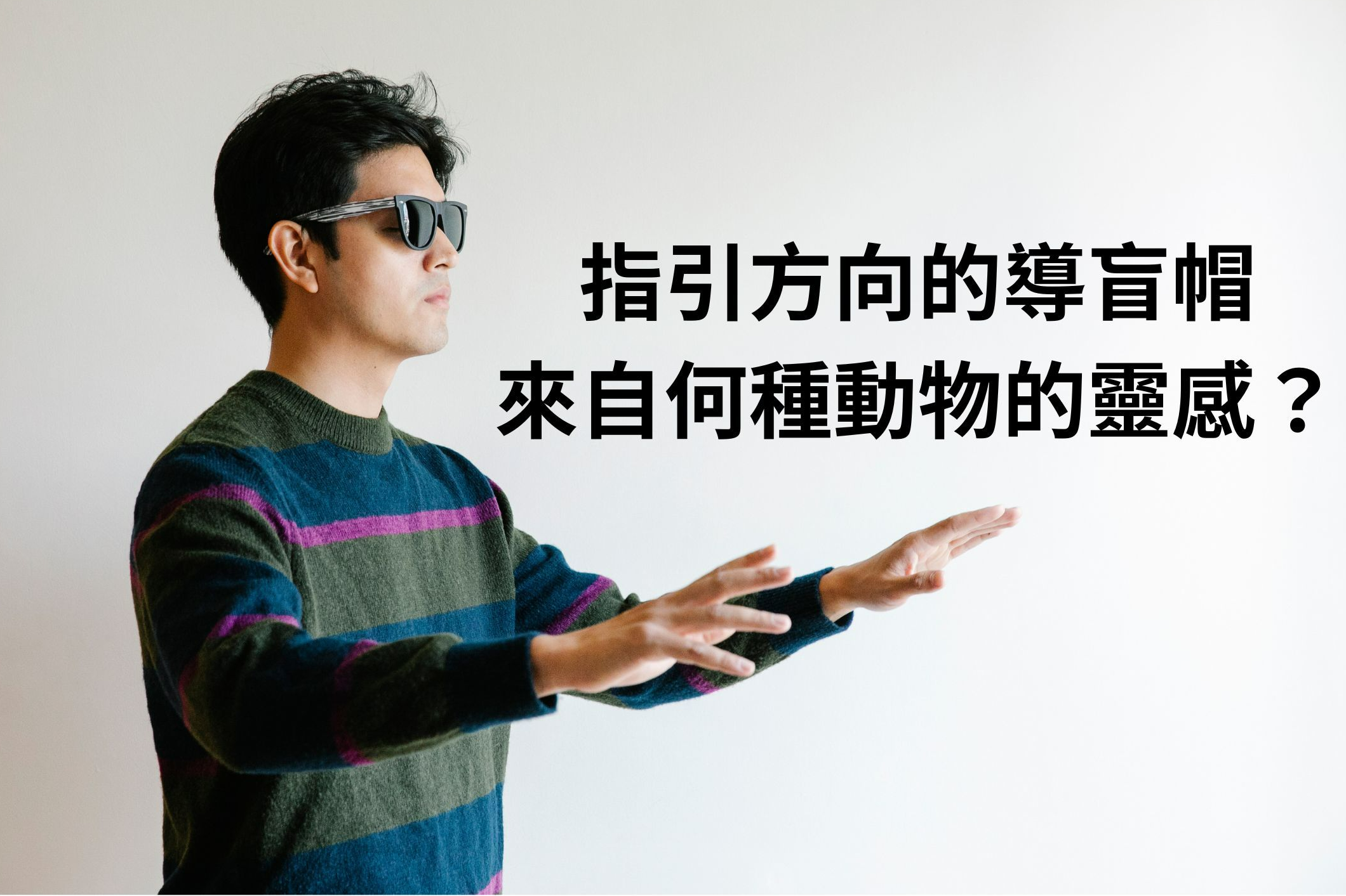 單集-封面
