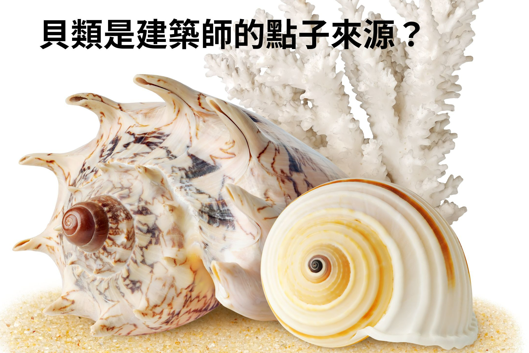 單集-封面